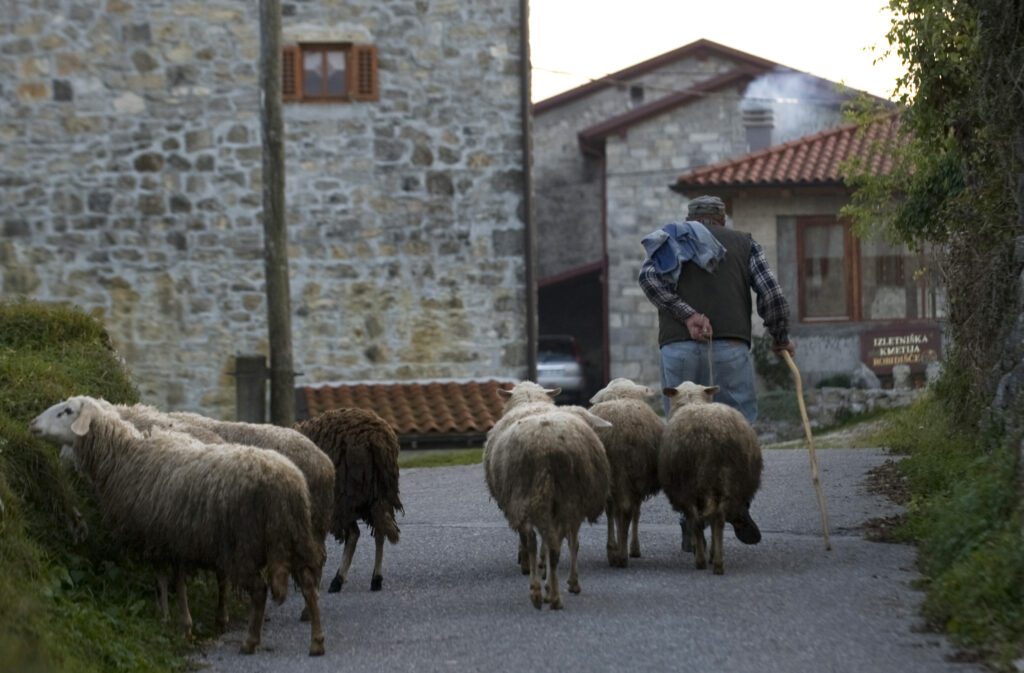 Robidišče leta 2011 