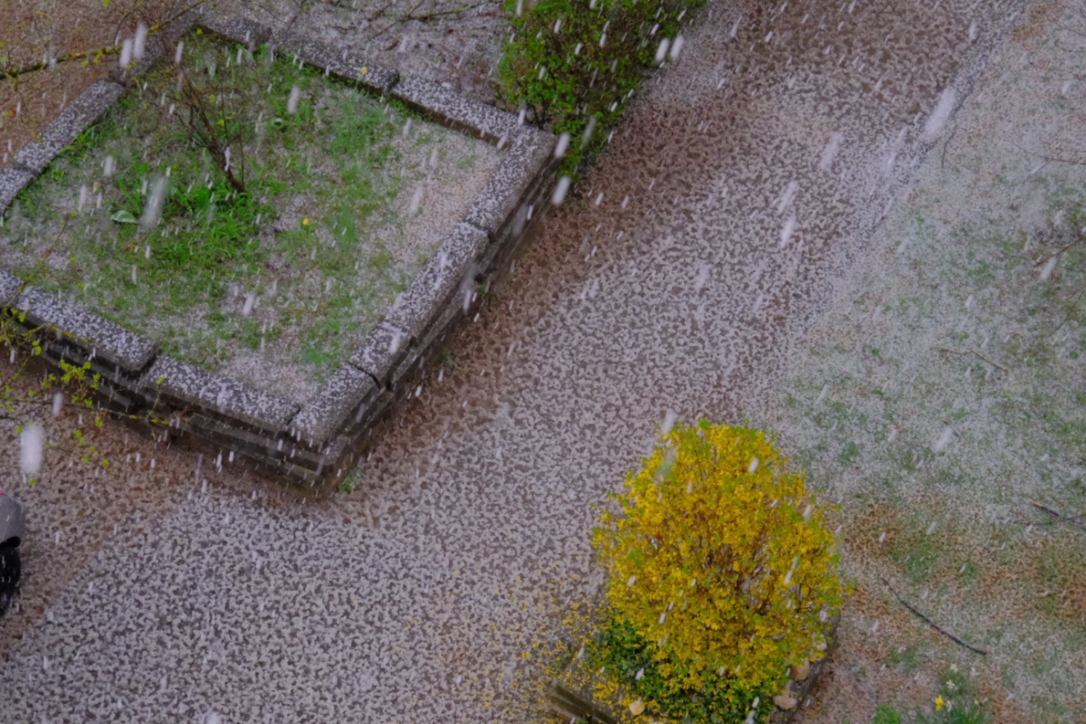 V Ljubljani “bizarna” nevihta. Meteorolog: “Nisem še videl take oblike padavin”