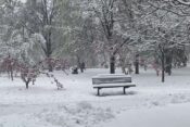 Sneg v Beogradu