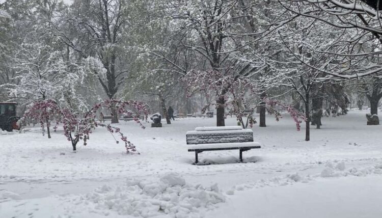 Sneg v Beogradu