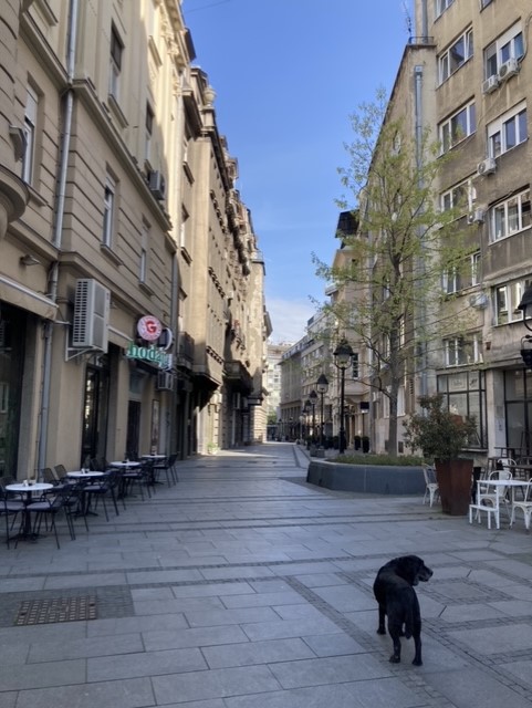 Prazne ulice Beograda