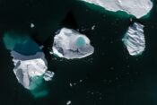 Taljenje ledu na Antarktiki