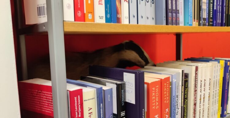 jazbec v knjižnici, Zagreb