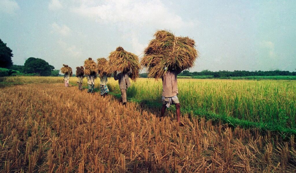 Bangladeš - kmetijstvo