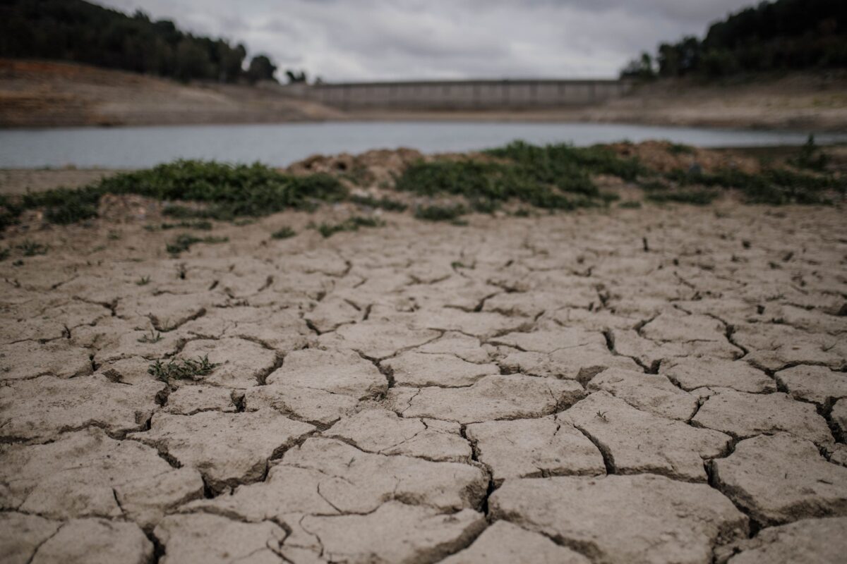 Grande seca em Espanha: “Não podemos ser o jardim da Europa se tivermos cada vez menos água”