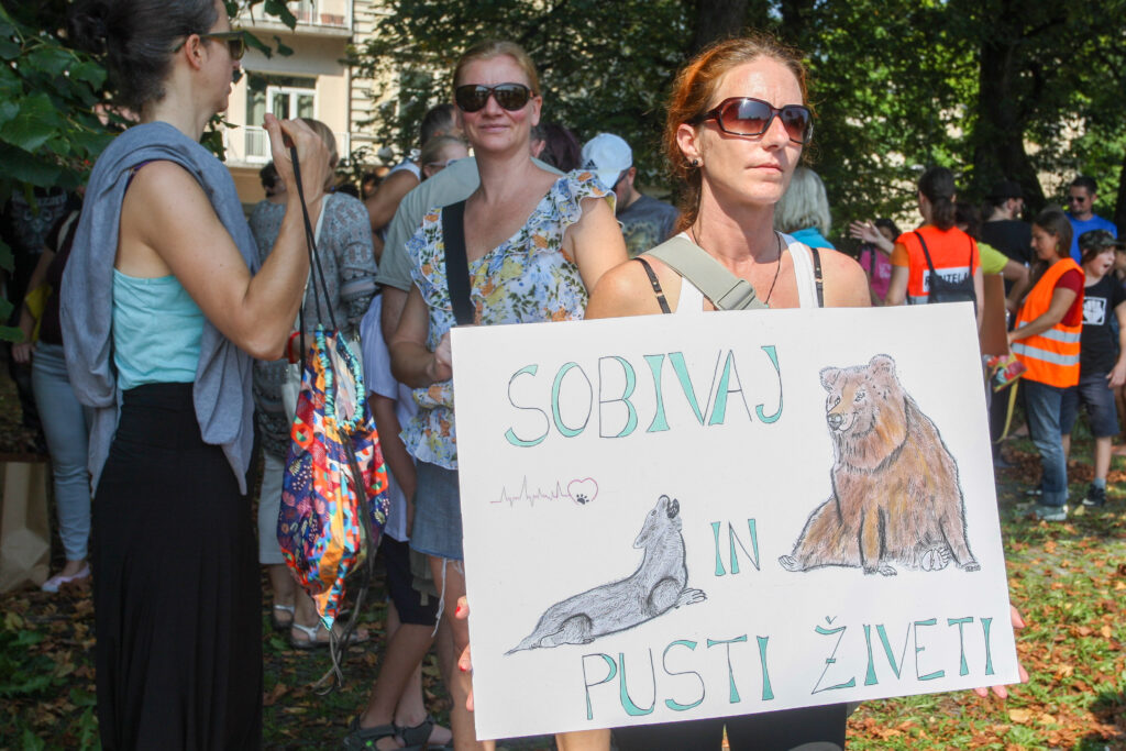 volkovi, medvedi, protest