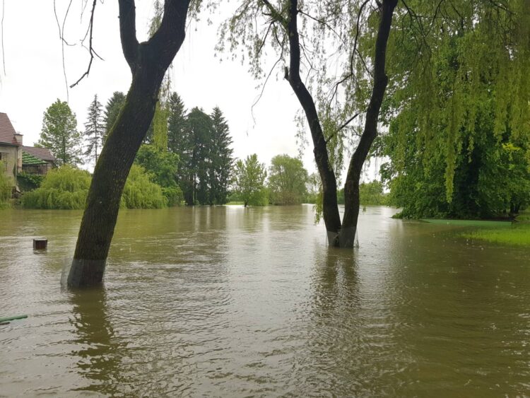 Poplave - Kostanjevica na Krki