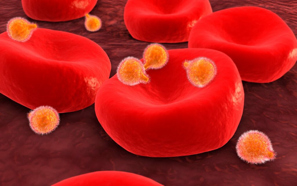 Prikaz širjenja malarije v rdečih krvničkar
