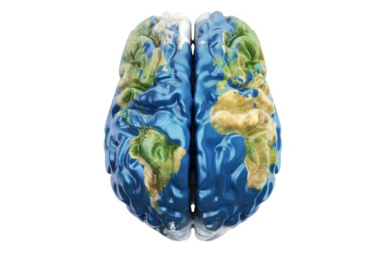 Zemlja, možgani