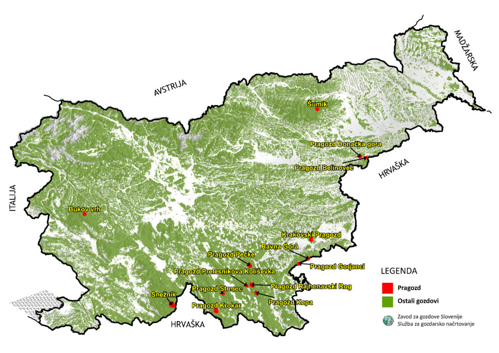 Zemljevid pragozdov v Sloveniji