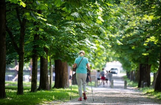 Sprehajalca hodi med drevesi v parku Tivoli