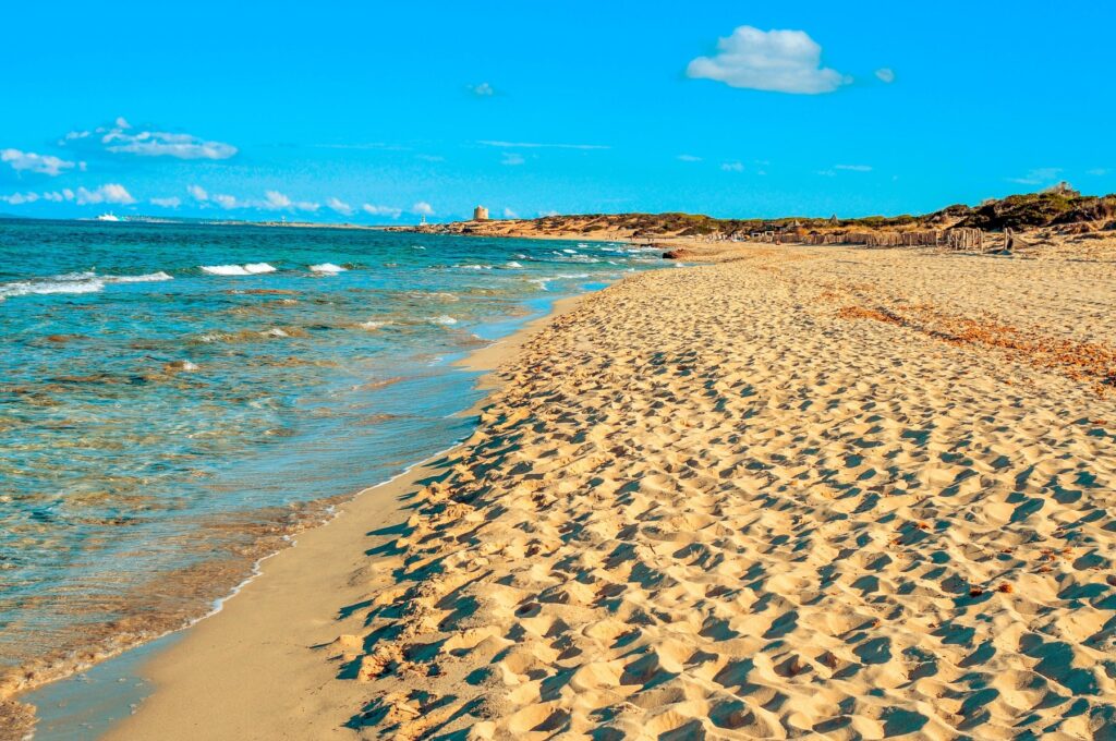 Plaža Es Cavallet