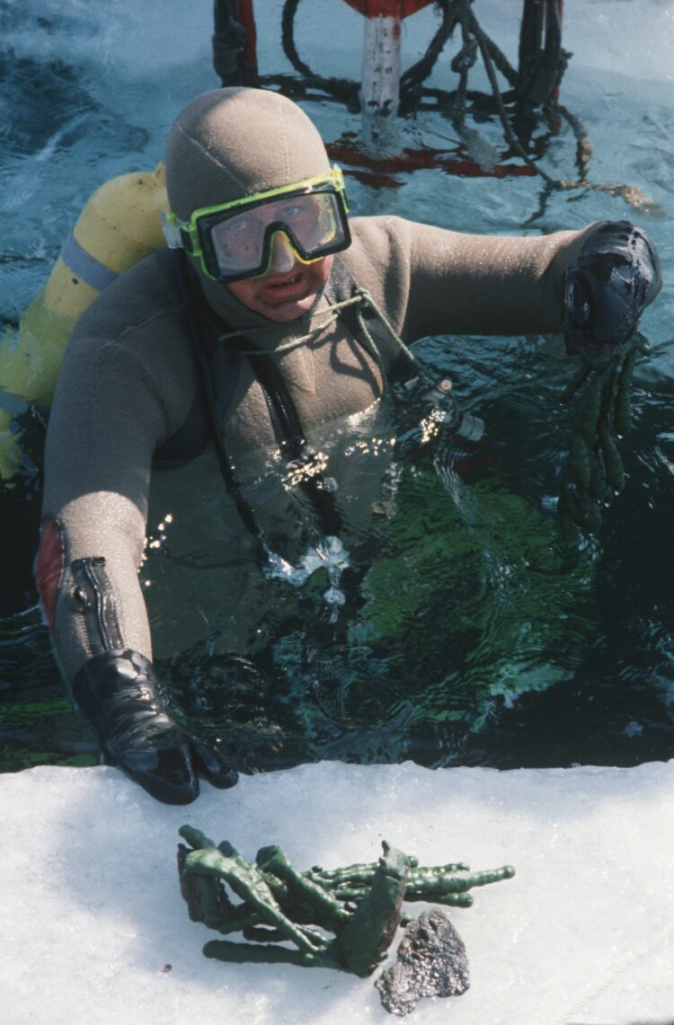 Strokovna ekspedicija leta 1988