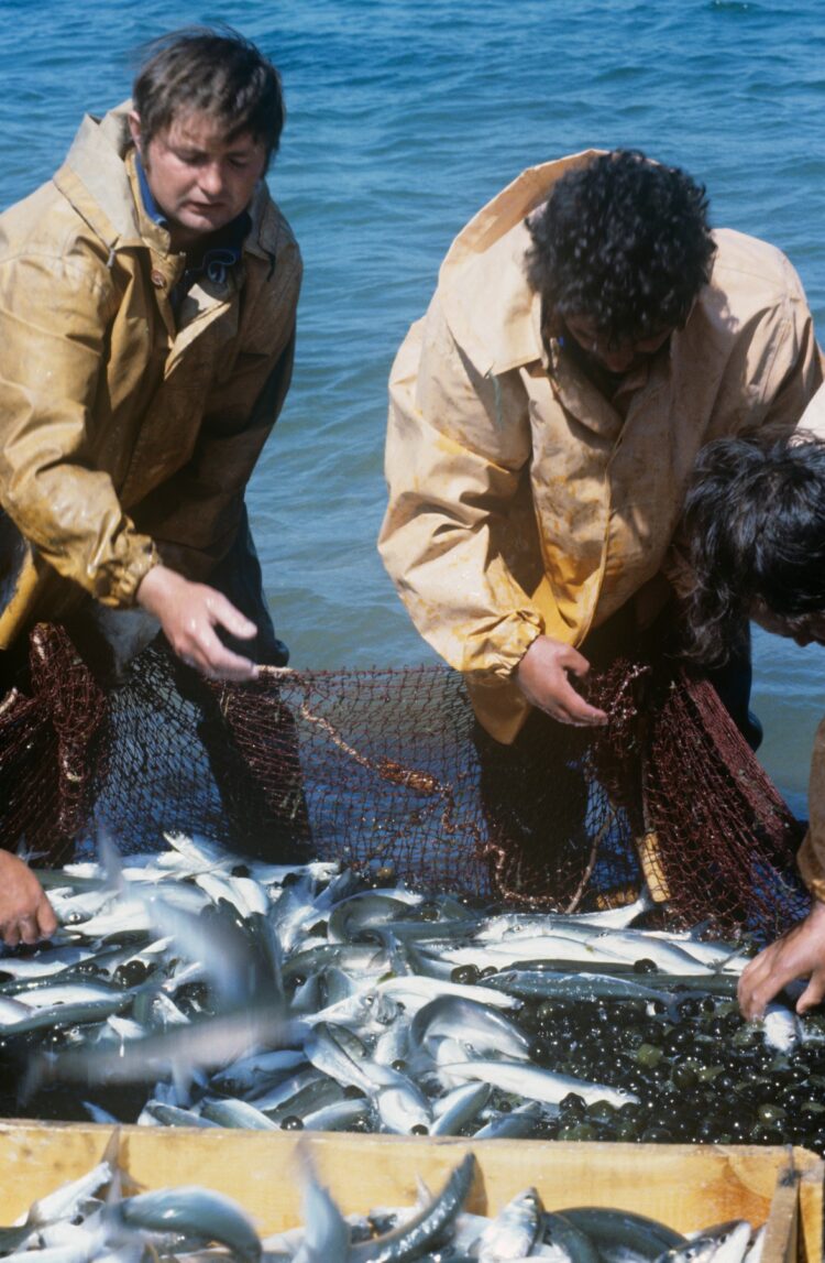 Ribiči leta 1985.