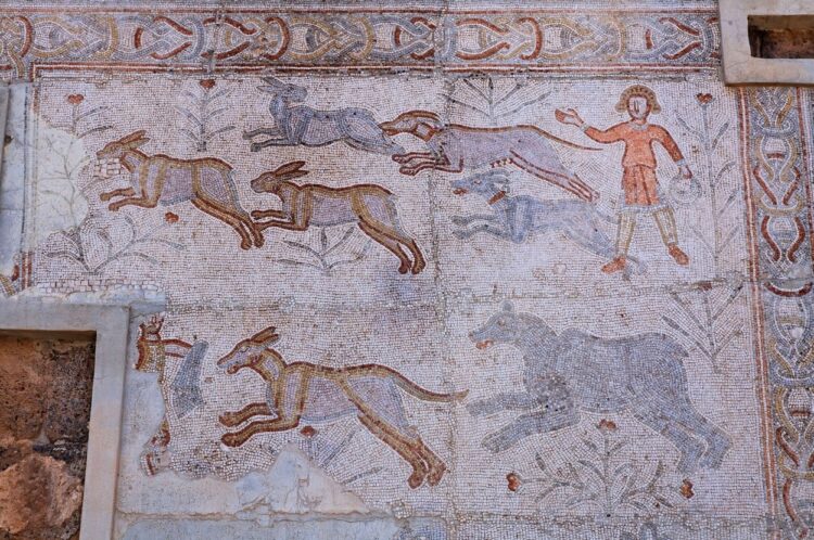 Mozaik iz rimskega gledališča, ki so ga odkrili v sirijskem mestu Bosra.