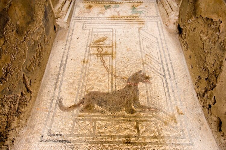Mozaik psa, priklenjenega na verigo, ki so ga našli v italijanskem mestu Pompei.
