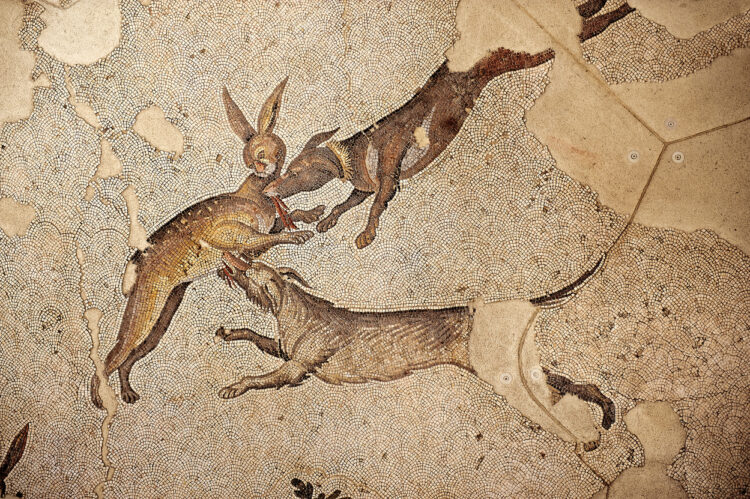 Mozaik, ki prikazuje lov na zajce. Odkrili so ga v turški prestolnici.