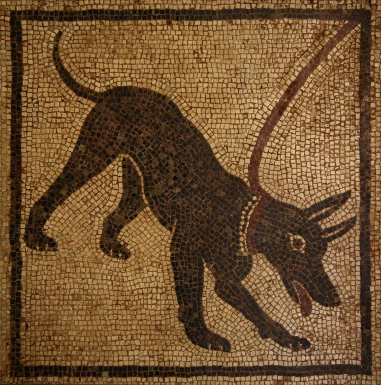 Mozaik iz Pompejev, ki upodablja psa čuvaja.