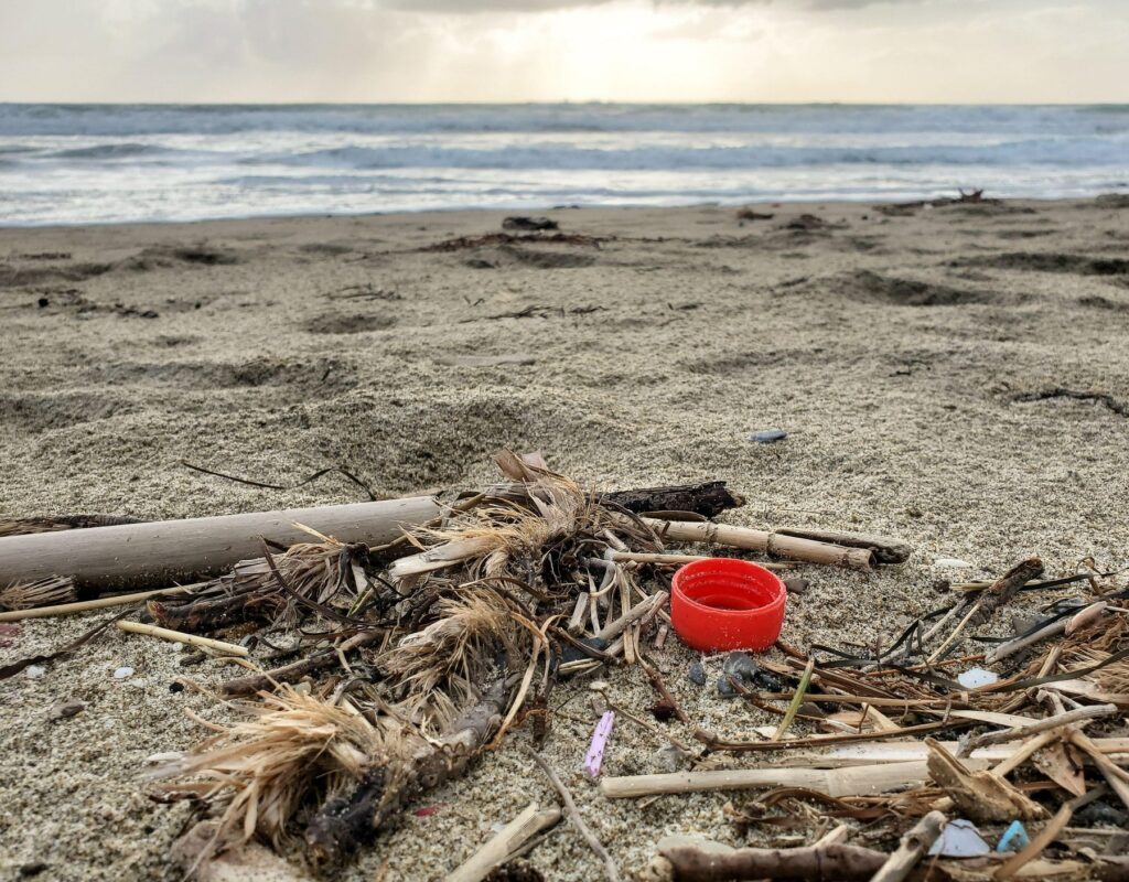 plastični zamašek, obala, onesnaženje, mikroplastika