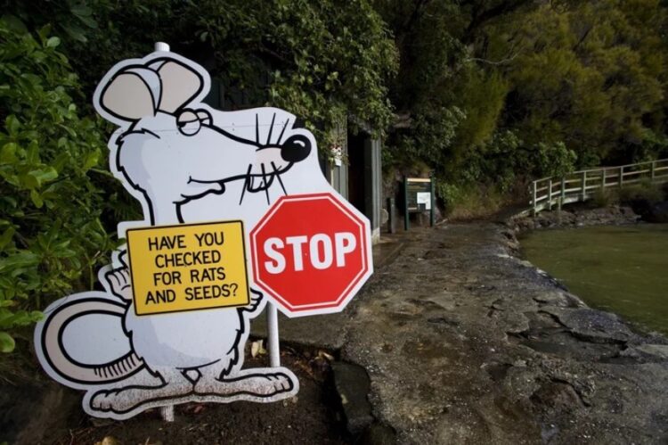 Nova Zelandija, podgane, iztrebljenje