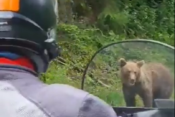 Treffen von Motorradfahrern mit einem Teddybären