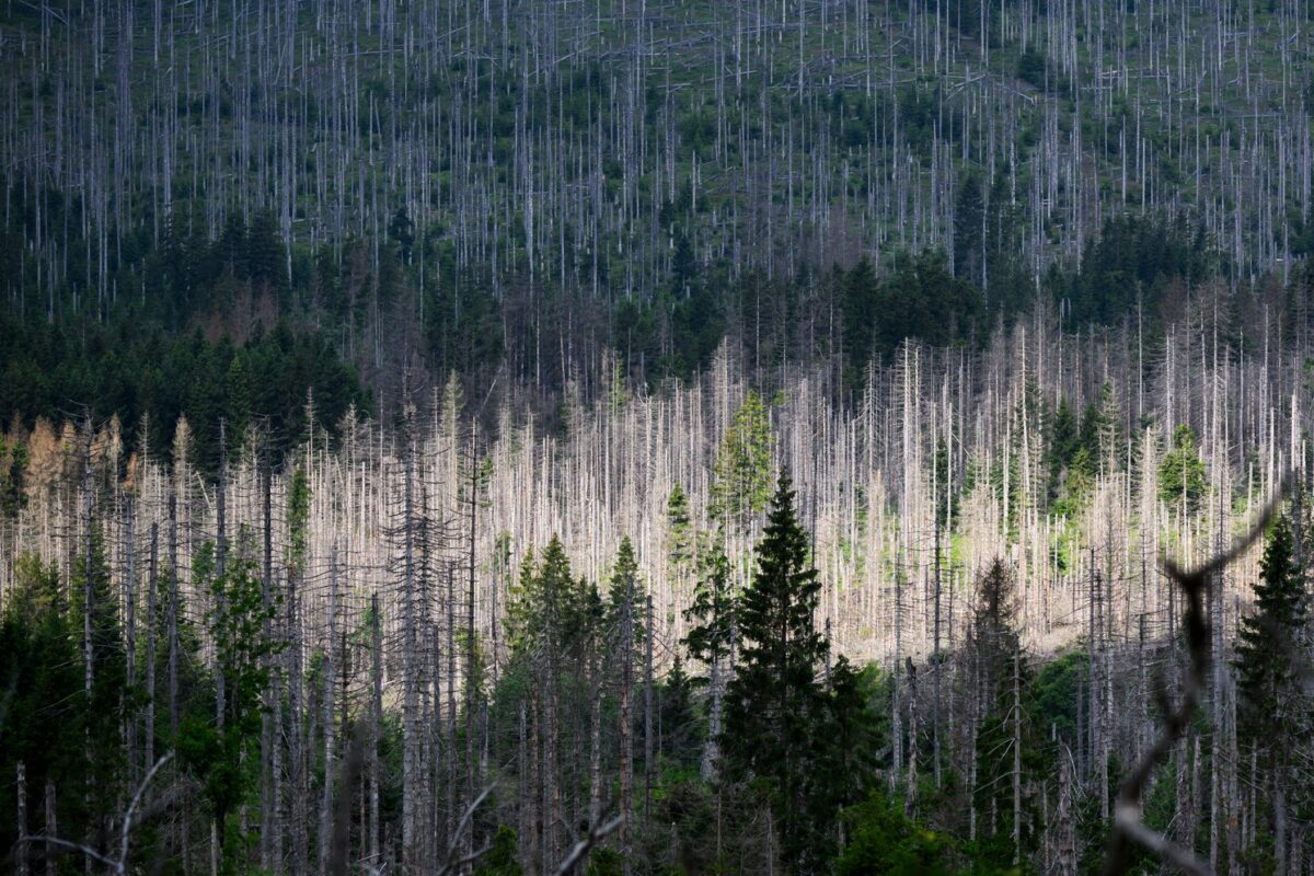 Anketa: Podnebne spremembe skrbijo večino prebivalcev Slovenije