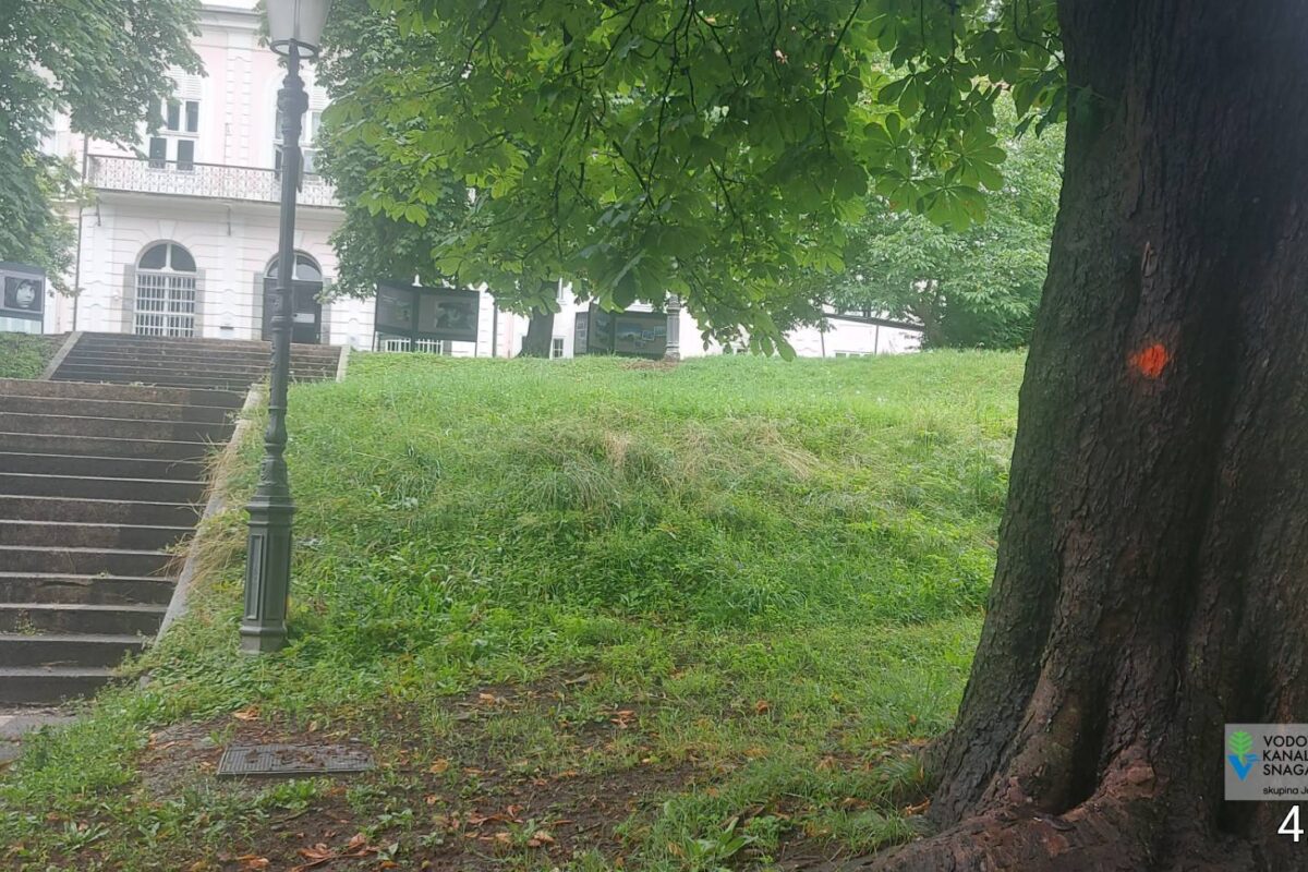 V Tivoliju vandali drevesa z rdečo piko označili za posek