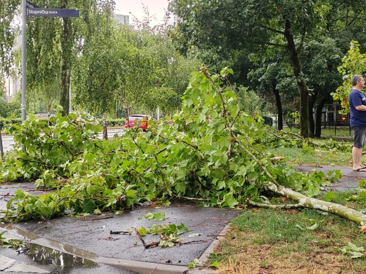 Neurje Zagreb