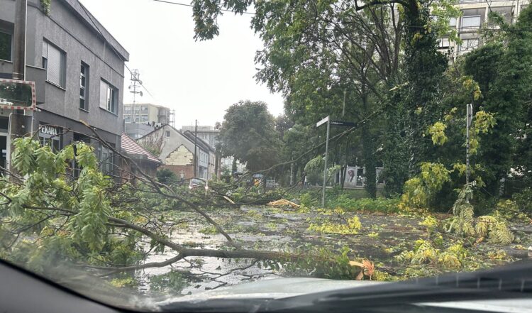 Neurje Zagreb