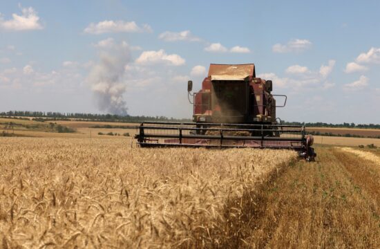 Ukrajinsko žito