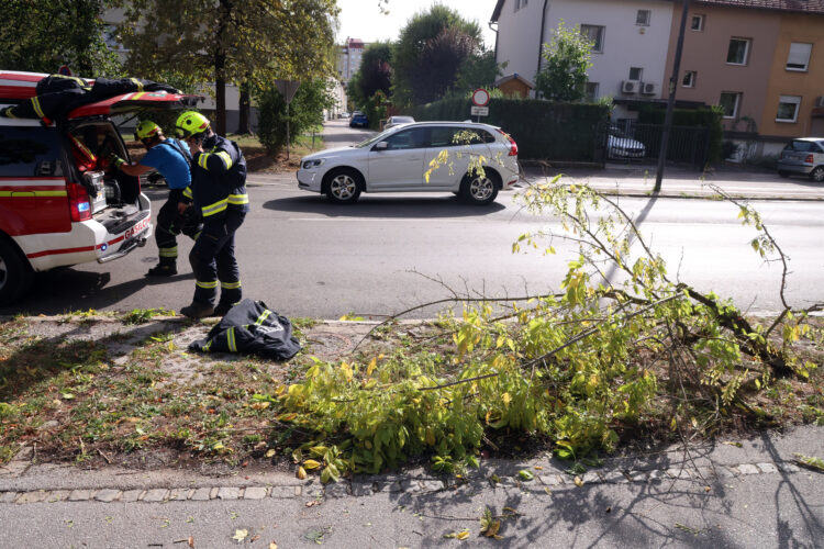 Posledice neurja v Ljubljani.