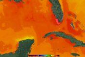 Registro de temperatura do mar na Flórida