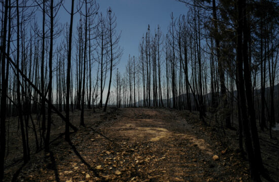gozdni požar na Portugalskem