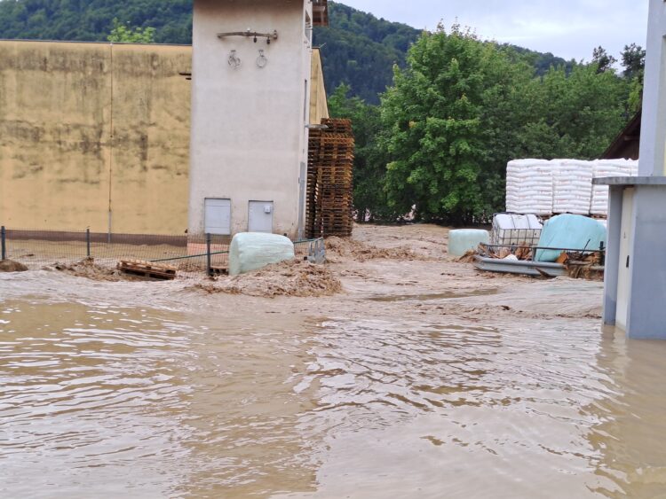 Cinkarna Celje v Mozirju