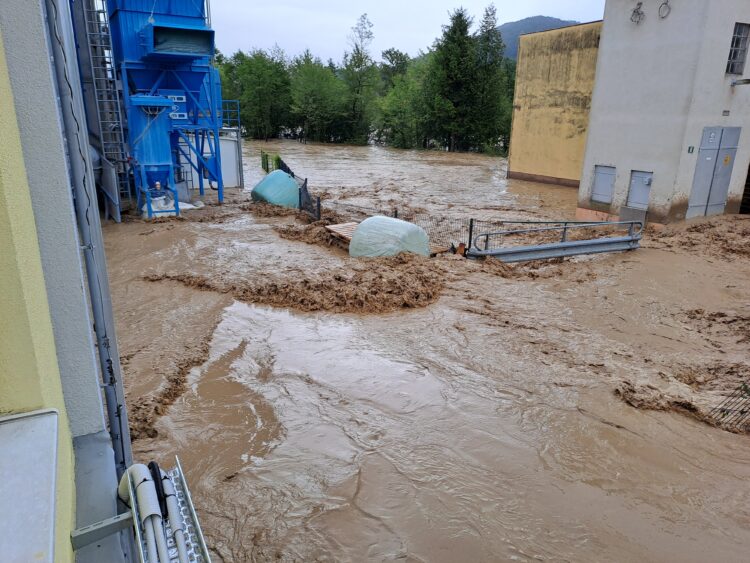 Cinkarna Celje v Mozirju