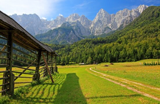 Gozd Martuljek, Alpe, Triglavski narodni park, Mojstrana