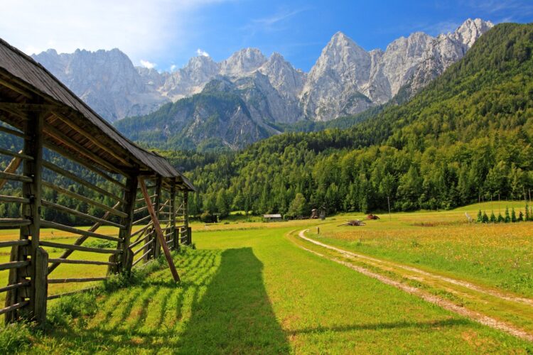 Gozd Martuljek, Alpe, Triglavski narodni park, Mojstrana
