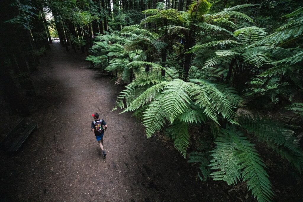 trail tek, Tarawera Ultra, Nova Zelandija 