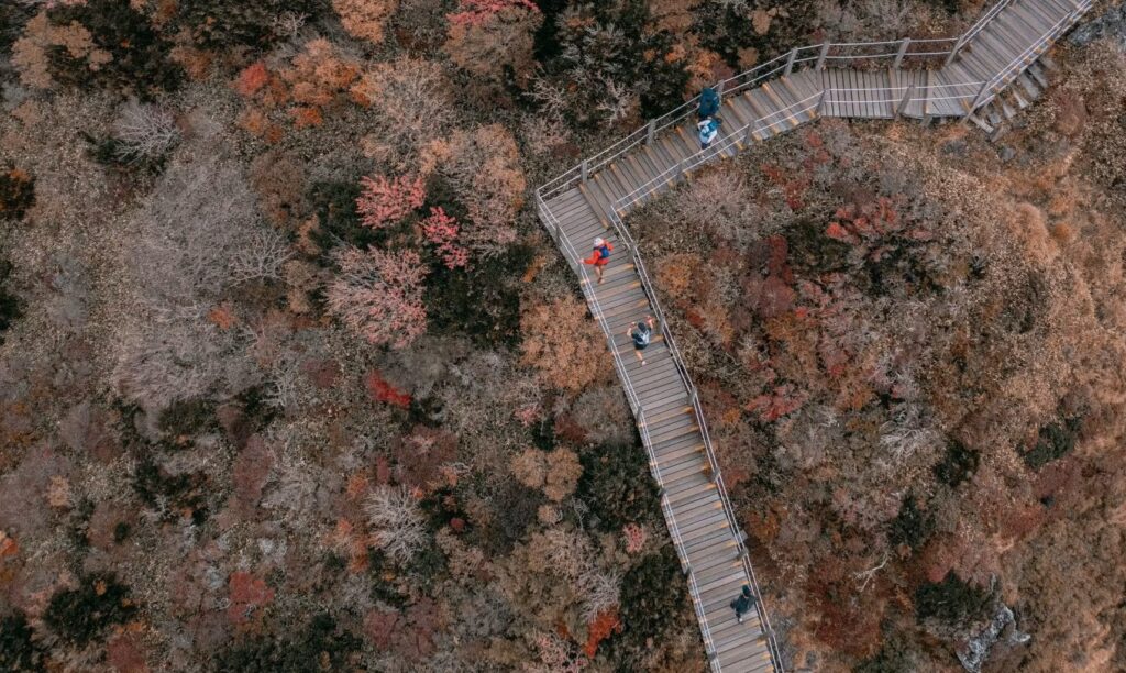 Transjeju, Južna Koreja, UTMB, trail tek