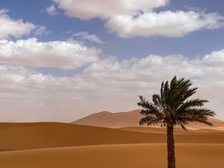 puščava v Maroku