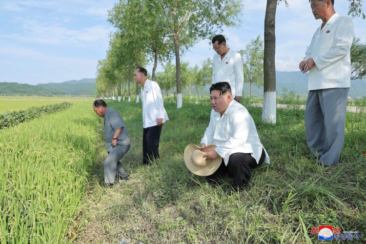 Severnokorejski voditelj Kim Jong Un so je ogledal poljedelske površine.
