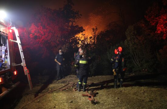 Gozdni požari na severovzhodu Grčije