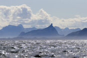 Norveška, obala, zalivski tok
