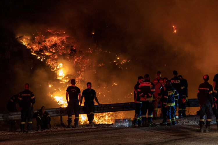 Gasilci skušajo pogasiti gozdne požare.
