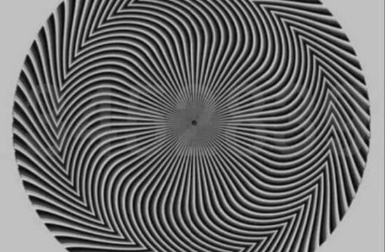 optična iluzija