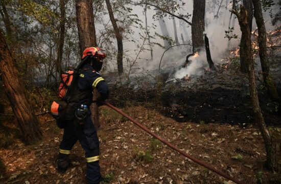 Na severovzhodu Grčije že dva tedna pustoši požar.