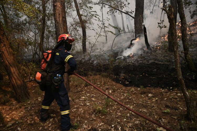 Na severovzhodu Grčije že dva tedna pustoši požar.
