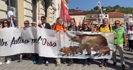 Protest proti odstrelu medvedov v Italiji