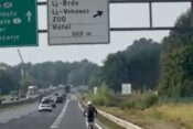 mopedist na zahodni ljubljanski obvoznici, avtocesta, promet, zahodna, obvoznica, Ljubljana,