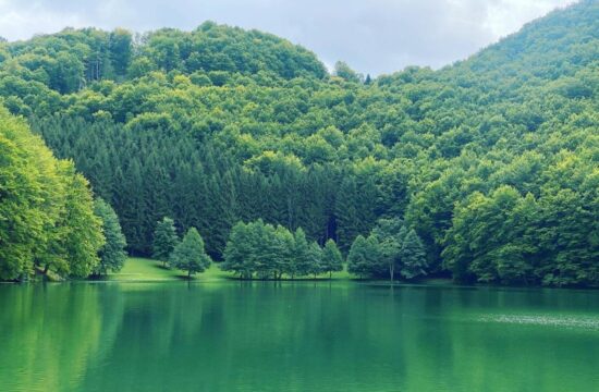 jezero, Balkana, gozd, Bosna in Hercegovina, BiH